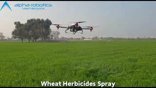 Wheat Herbicides Spray [upl. by Asilrahc391]