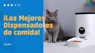 ✅ 7 DISPENSADORES de COMIDA PARA GATOS Automáticos  City Miau [upl. by Jovita]