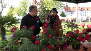 Gartentage Lindau 2012  Sind Pfingstrosen die besseren Rosen [upl. by Broek920]