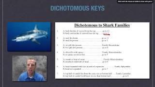 How to use a dichotomous key [upl. by Savill270]