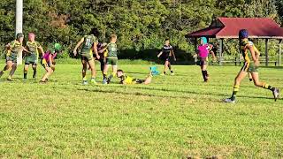 Sunshine Cowboys U11s vs Windsor Wolves U11s Highlights Sydney Tour 2024 Div 1 [upl. by Eiramadnil]