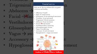 Cranial Nerves  Anatomy  by Imran Yaseen [upl. by Aihsi]