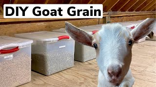 DIY Goat Grain  How to Mix your Own Grain [upl. by Ciardap]