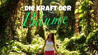 So nutzt du die KRAFT DER BÄUME amp entdeckst ihr WISSEN [upl. by Lauren188]