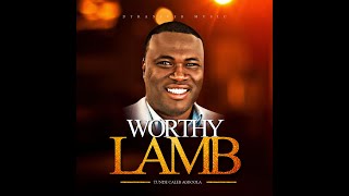 Worthy Lamb Official Lyric Video [upl. by Anovad]