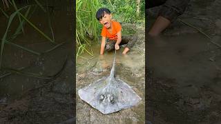 Survival Skills SIMPLE and USEFUL with stingray fish bushcraft camping outdoor [upl. by Sirmons]