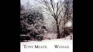 Tony Meade  Wassail Wassail Official Audio [upl. by Onileba]