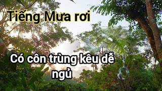 tiếngmưa Tiếng mưa rơi nhẹ nhàng giúp bạn ngủ ngon  thunderstorm relaxing sounds of nature [upl. by Ahsaeym]