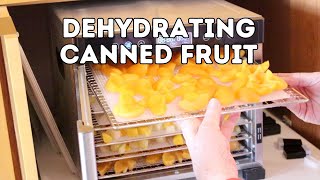 Dehydrating Canned Fruit [upl. by Nylednarb662]