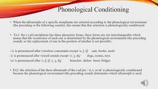 Phonological and Morphological Conditioning [upl. by Lord]