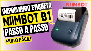 Niimbot B1 imprimindo etiquetas personalizadas passo a passo unboxing [upl. by Carvey762]