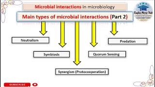 Microbial interaction in microbiology neutralism predates symbiosis quorum sensing synergism [upl. by Stouffer]