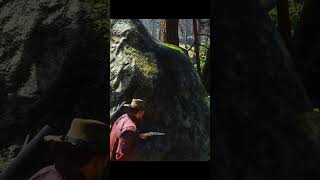 They Tried To Ambush Me In The Forest l Red Dead Redemption 2 arthurmorgan rdr2 [upl. by Nannahs534]