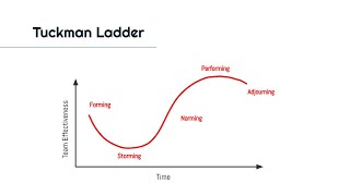 Tuckman Ladder ∣ 1Minute Explanation [upl. by Lemert]