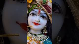 Joy sree krishna Radhe radhe bondhura 🙏🙏 youtubeshorts [upl. by Ecyor]