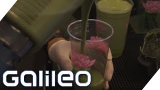 Mit Smoothies vom Obdachlosen zum Millionär  Galileo  ProSieben [upl. by Alonzo]