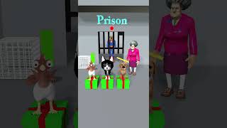 Chicken Cat cute Vs poor Dog Which animal can rescue Superman Dog from prison cat dog [upl. by Weksler]