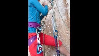 51 Pulley System with a Petzl Reverso [upl. by Gnohp]