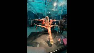 The Body Worlds [upl. by Schild]