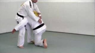 Double Leg Takedown  BJJ Blue Belt Requirements Technique 1 [upl. by Brindell611]