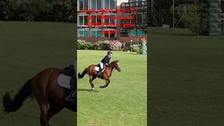 Us at hicksteadPlease sub it means allot horsesaremylife animals equestrian showjumping horse [upl. by Hawger]