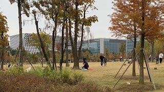 Magok botanic park on Sunday สวนพฤกษศาสตร์วันอาทิตย์ [upl. by Gemmell]