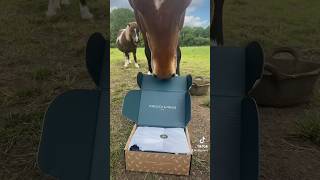 Opening our“Forelock and Fringe” June subscription box Use code SILLYPRUNE10 For discount horse [upl. by Samantha]