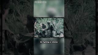 101st Airborne in Vietnam 1967  Pt 10 [upl. by Balduin]