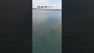 浜名湖の釣りポイント釣り 釣り初心者 釣りyoutube 釣りに行く 釣りビギナー fishing fishingvideo 浜名湖釣り 新居漁港砂揚場東海釣りビギナーズ [upl. by Lebanna]