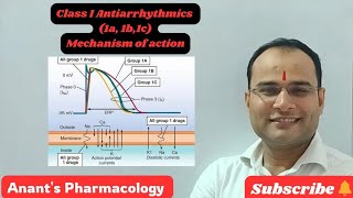 Class I Antiarrhythmics Use dependent blockadeIa Ib Ic [upl. by Ailana]