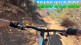 Mr Toads Wild Ride  Mountain Biking  Thousand Oaks CA [upl. by Shirberg588]