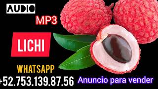 N8867 📢TE ENVIAMOS EL ANUNCIO WHATSAPP 527531398756 N8867 FRUTA LICHI ANUNCIO MP3 [upl. by Jameson]