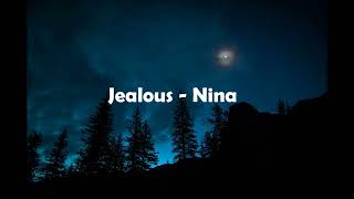 Jealous  Nina Lyrics [upl. by Atteynad]