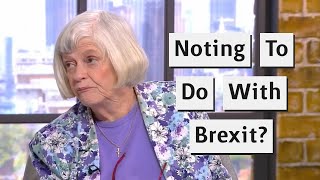 Ann Widdecombe Tries To Dismiss Brexit Problems [upl. by Leibrag655]