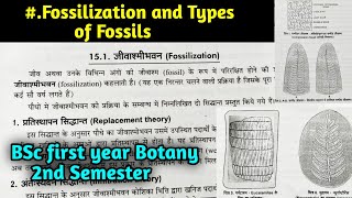 What is Fossilization  Types of Fossil in hindi  BSc first year Botany Second Semester [upl. by Hembree]