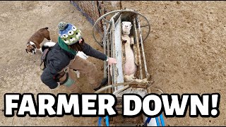 this is me trying  sheep farming with the flu and cleaning up our dirty little secret Vlog 765 [upl. by Adal]