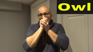 How To Whistle Like An OwlAnimal Sound Tutorial [upl. by Three]