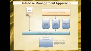 Data Resource Management in business [upl. by Leamsi686]