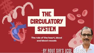 THE CIRCULATORY SYSTEM  BIOLOGY  ICSE  2025 biology boardexam explained hariharroutkd8eo [upl. by Darelle698]