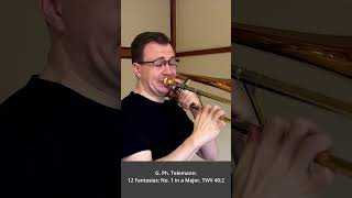 Telemann 12 Fantasias No 1 in a Major TWV 402 [upl. by Rehpotsirhk]