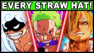 All 13 Straw Hats and Their Powers Explained One Piece Every Straw Hat Crew Member [upl. by Imhsar]