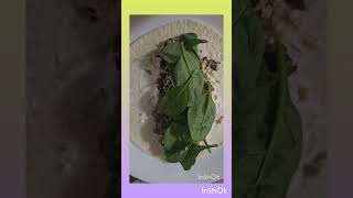 Keto Beef Wraps The Ultimate LowCarb Taco [upl. by Kirven]