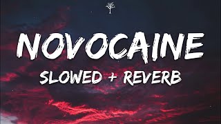 Shiloh Dynasty  Novocaine Lyrics Slowed  Reverb [upl. by Ellevehs]