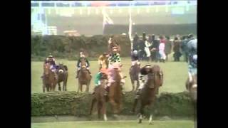 1973 Grand national [upl. by Nibur]