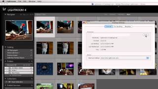 How to Delete Lightroom Backups [upl. by Conger]