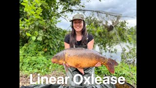 Carp fishing at Oxlease  Linear Fisheries [upl. by Anilatac614]