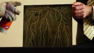 Deep Dielectric Discharge Lichtenberg Figure [upl. by Loredana]