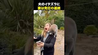 よく離婚しないで済んでるねw海外の反応 海外のリアクション 外国人 おもしろ動画 爆笑動画 笑える バズった動画 癖が強い shorts ドッキリ [upl. by Eniluqaj]