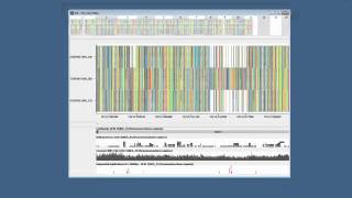 Family Trio NextGeneration Sequencing Variant Analysis with Golden Helix SVS [upl. by Esinel]