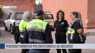 Palermo Percorso formativo per unità cinofile da soccorso [upl. by Danette769]